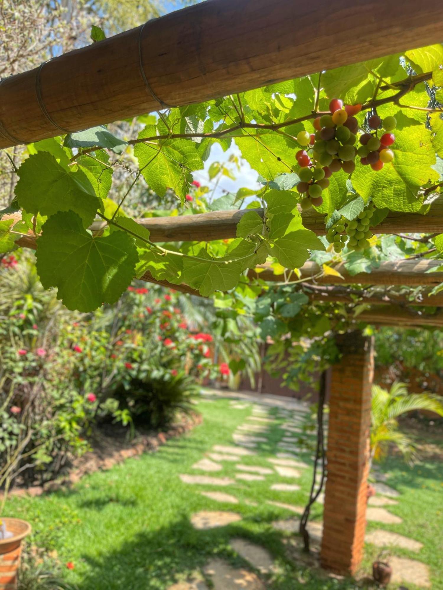 Pousada Verdes Encantos Pirenopolis Ngoại thất bức ảnh