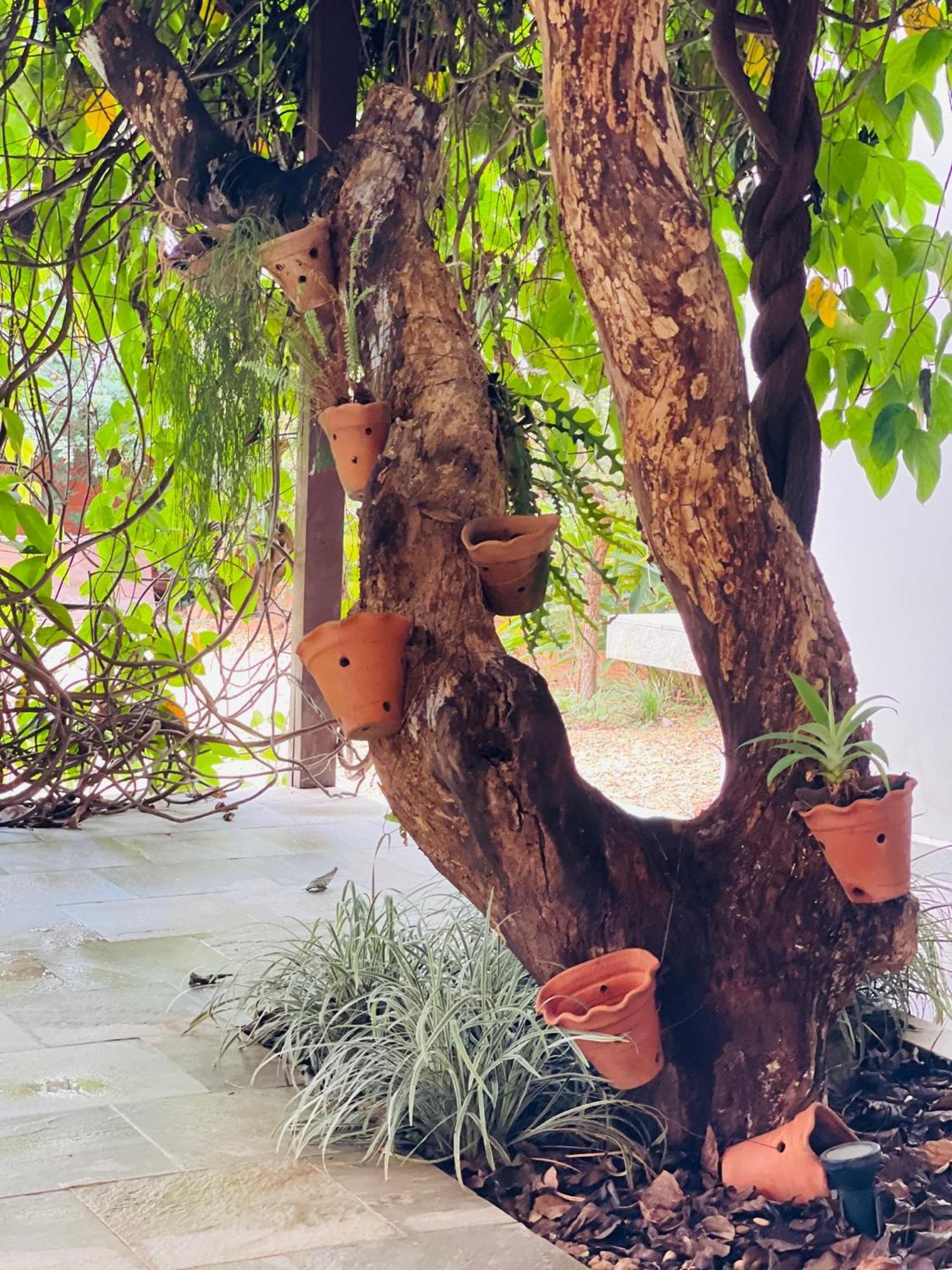Pousada Verdes Encantos Pirenopolis Ngoại thất bức ảnh